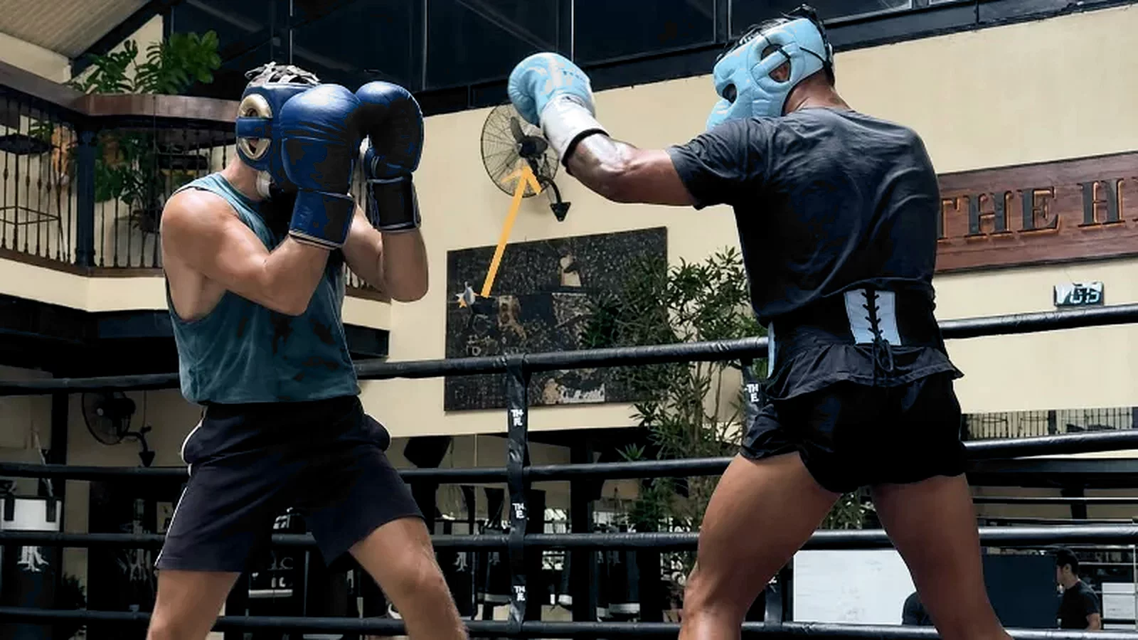 Compulsory Boxing: Range